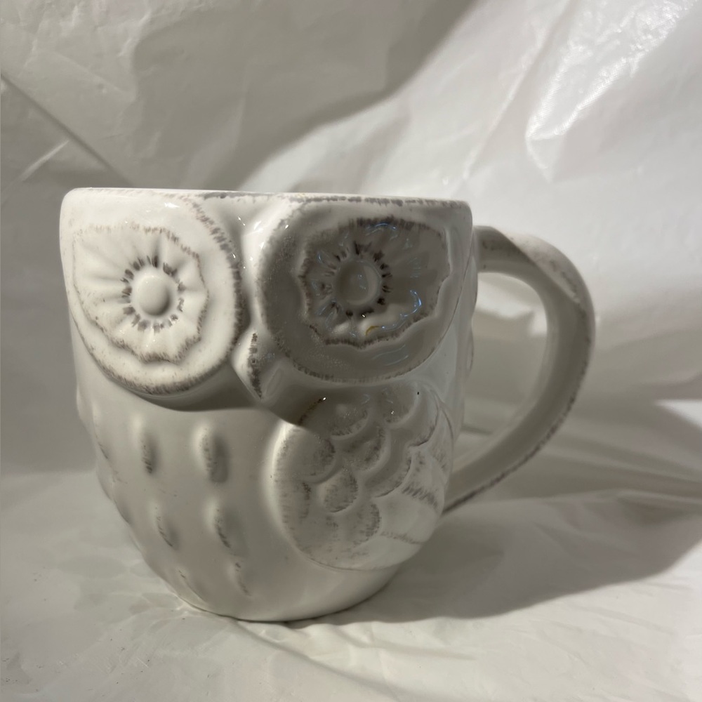 Pier One Imports White Owl Ceramic Mug